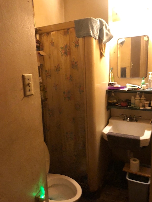 bathroom with toilet and a shower with shower curtain