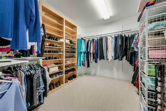 walk in closet with carpet floors