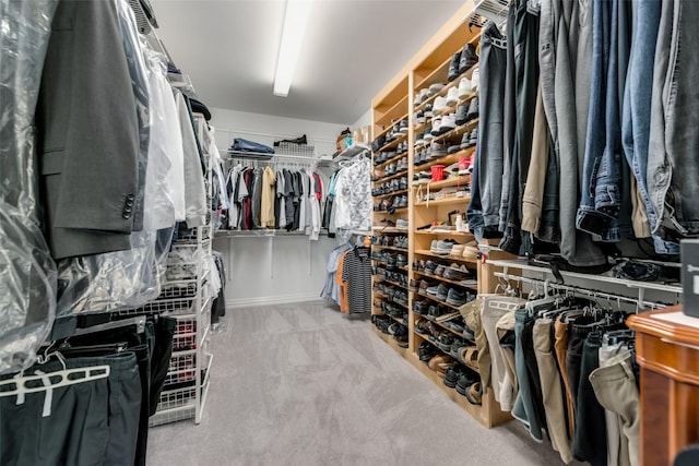 walk in closet with carpet floors