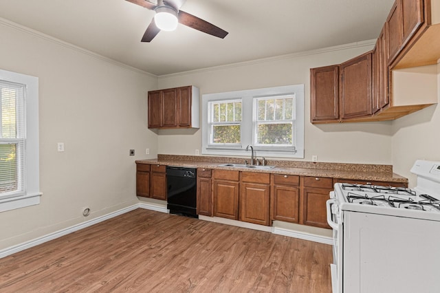 kitchen with black dishwasher, a healthy amount of sunlight, white gas range, and sink