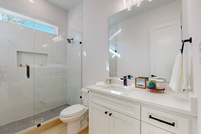 bathroom with toilet, vanity, wood-type flooring, and a shower with door