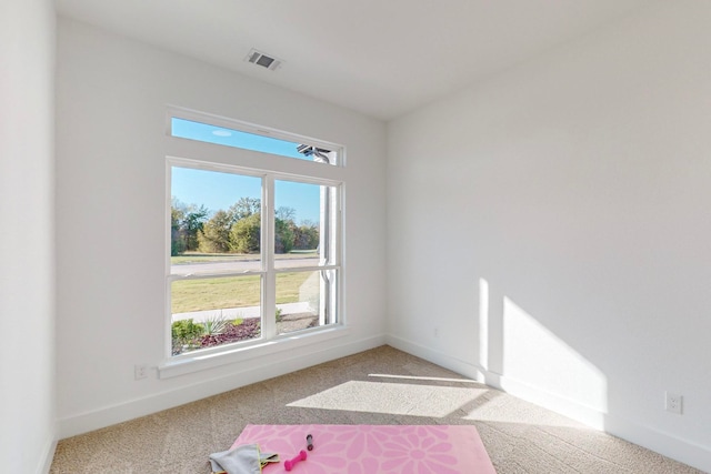 empty room with carpet flooring and a healthy amount of sunlight