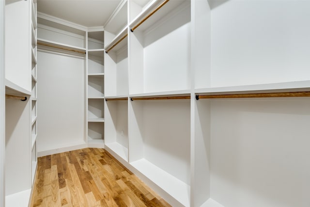 walk in closet with light wood-type flooring