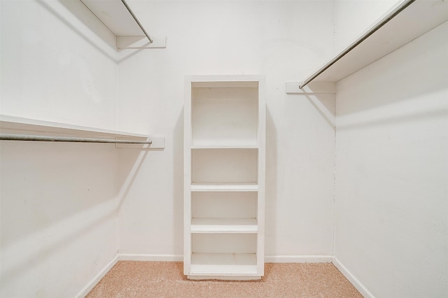 spacious closet with carpet flooring