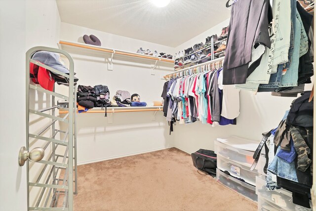 spacious closet with light carpet