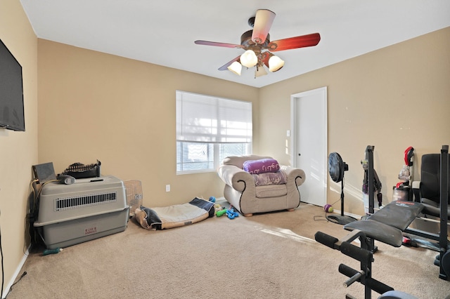 workout room with carpet flooring and ceiling fan