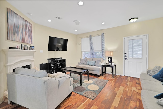 living room with light wood-type flooring and plenty of natural light