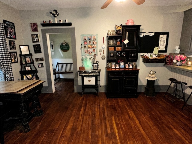 bar featuring dark hardwood / wood-style flooring and ceiling fan