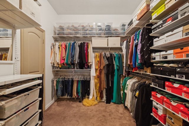 walk in closet with carpet