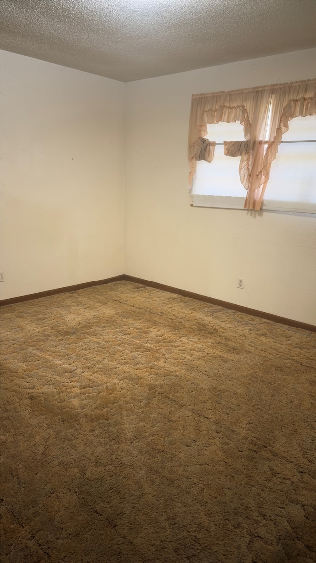 empty room featuring a textured ceiling and carpet flooring