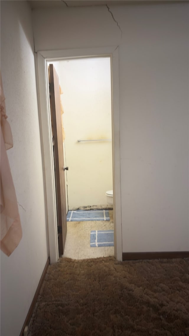 hallway with carpet floors