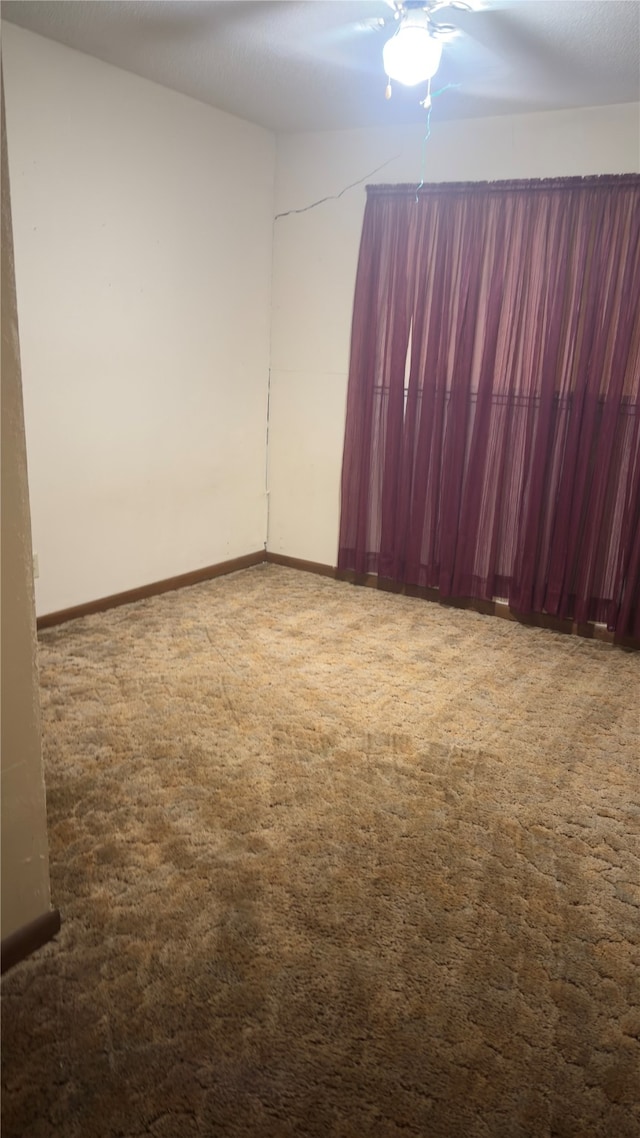 spare room with carpet floors