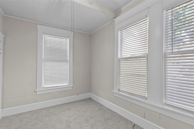 unfurnished room featuring a healthy amount of sunlight and light carpet