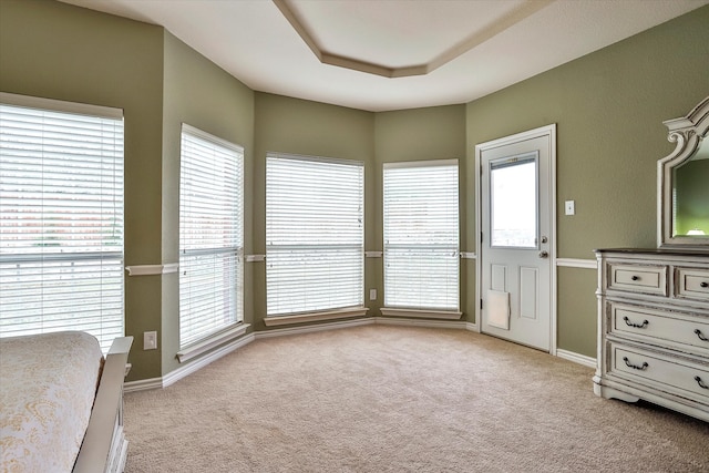 interior space with multiple windows and light carpet