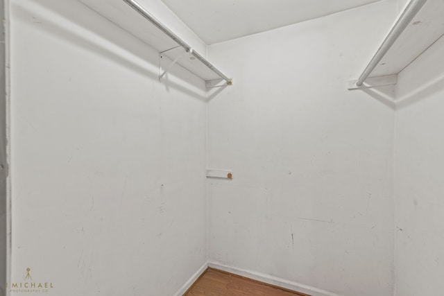 walk in closet featuring hardwood / wood-style floors