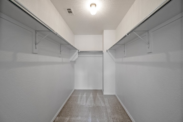 walk in closet with light carpet