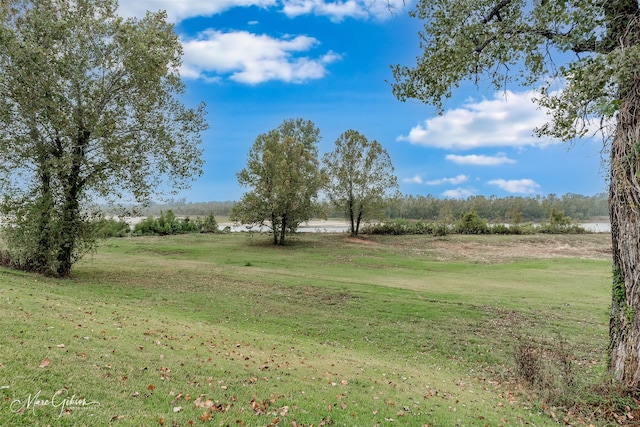 view of yard with a rural view