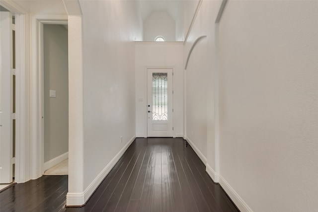 entrance foyer featuring a high ceiling and dark hardwood / wood-style floors