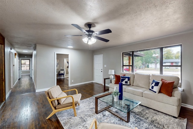 living room featuring dark hardwood / wood-style flooring, a textured ceiling, ceiling fan, and crown molding