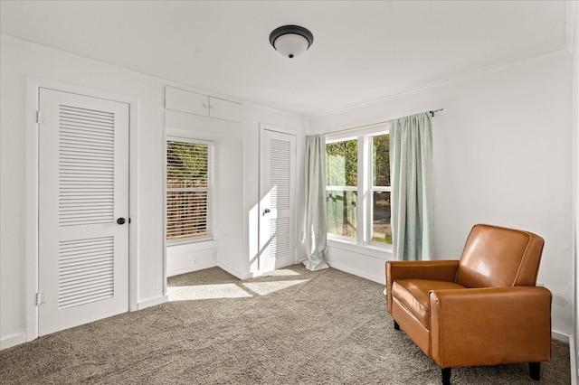 living area featuring plenty of natural light and light colored carpet