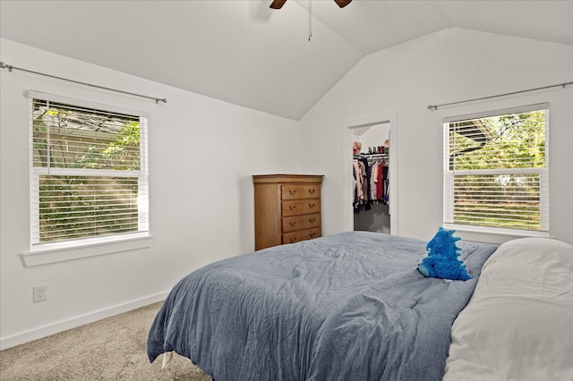 bedroom with ceiling fan, carpet flooring, a walk in closet, a closet, and vaulted ceiling