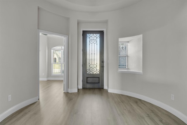 203 Half Moon Dr, Waxahachie, TX 75165 - foyer featuring plenty of natural light, baseboards, and wood finished floors