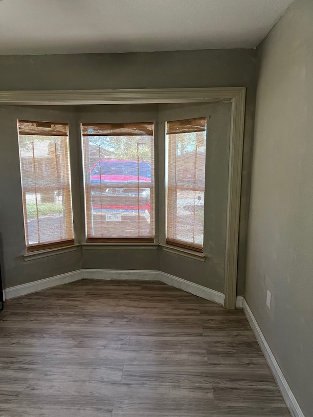 spare room featuring hardwood / wood-style floors and plenty of natural light