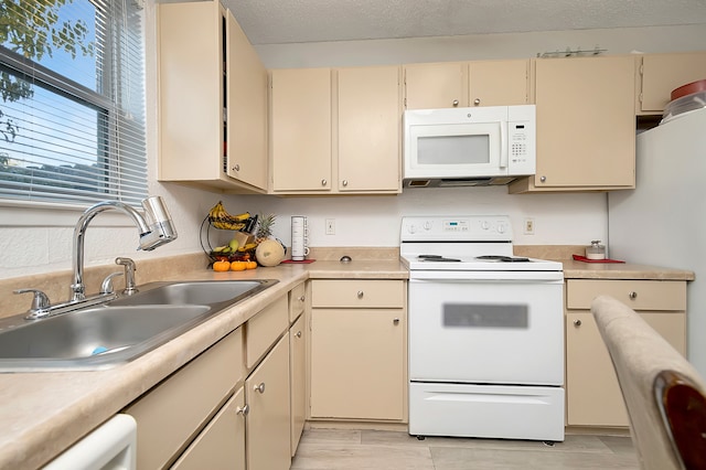 kitchen with sink, a textured ceiling, white appliances, cream cabinetry, and light wood-type flooring