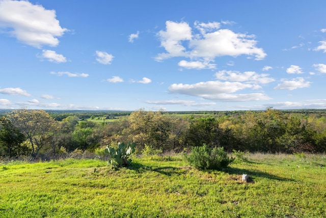 view of landscape