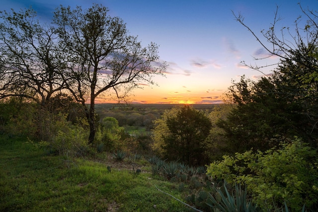 view of nature at dusk