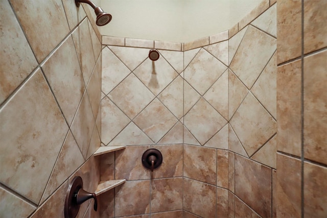 interior details featuring tiled shower