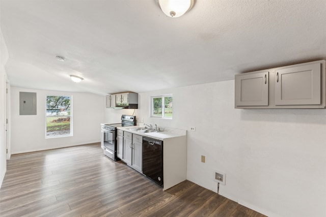 kitchen featuring dark wood-type flooring, stainless steel electric stove, a healthy amount of sunlight, and black dishwasher