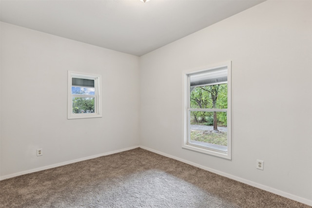 spare room featuring carpet