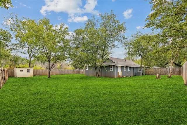 view of yard with a shed