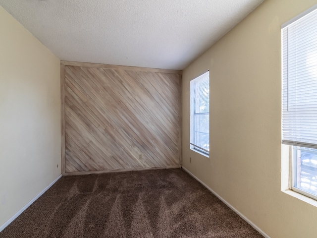 spare room featuring a wealth of natural light, wooden walls, and a textured ceiling