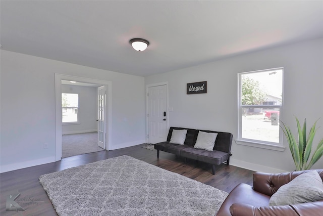 living room featuring dark hardwood / wood-style flooring