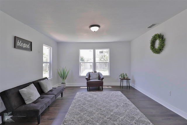 living room featuring dark wood-type flooring