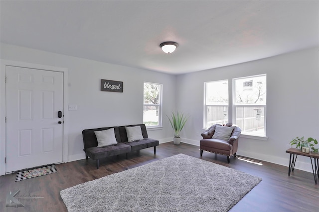 sitting room featuring dark hardwood / wood-style floors