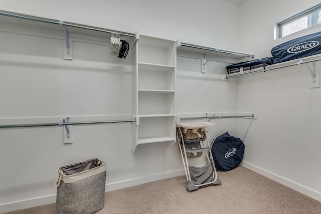 spacious closet featuring carpet