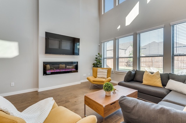 living room featuring hardwood / wood-style flooring, a high ceiling, and plenty of natural light