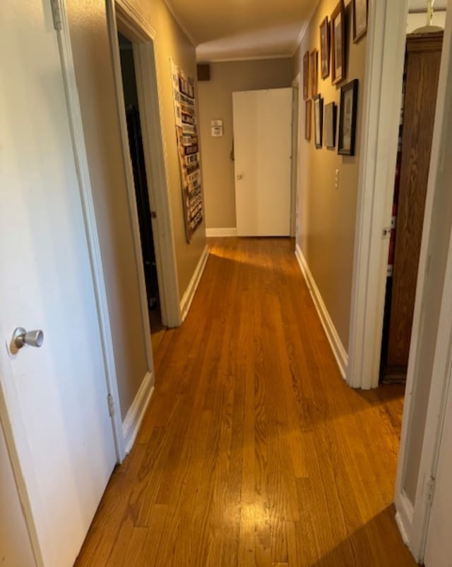 hallway featuring light hardwood / wood-style floors and ornamental molding