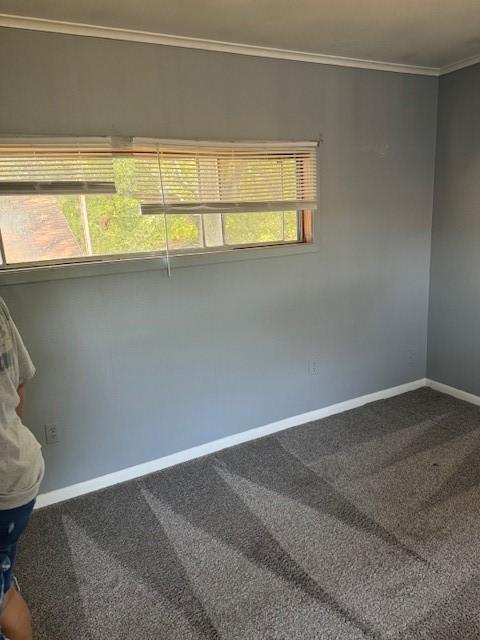 spare room featuring carpet flooring and crown molding