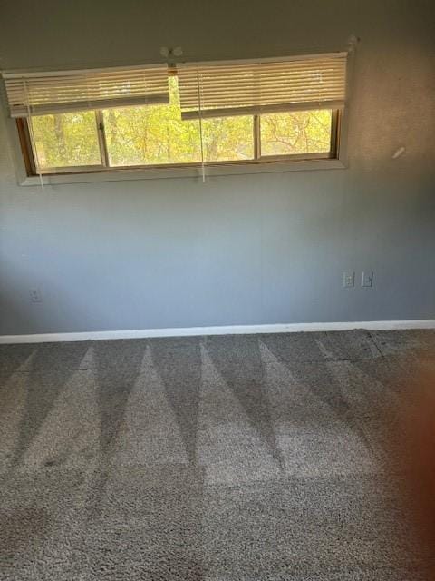 unfurnished room featuring carpet