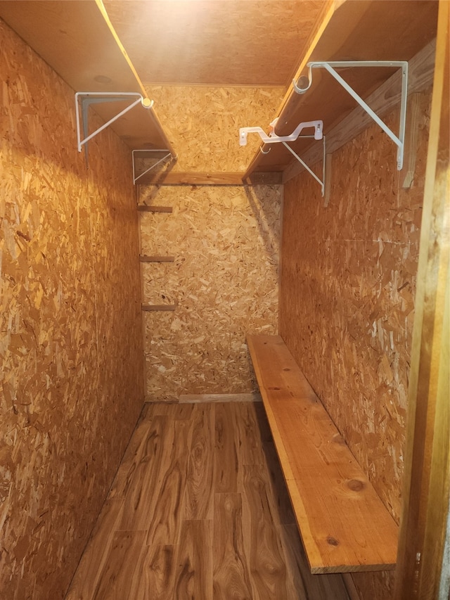 walk in closet with wood-type flooring