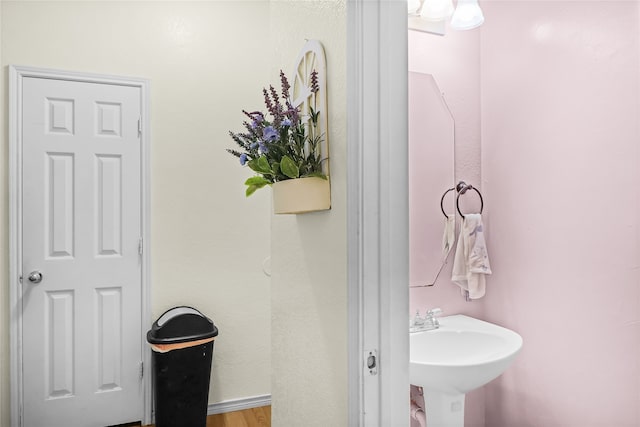 bathroom with hardwood / wood-style floors and sink