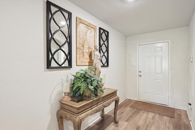 foyer entrance with light hardwood / wood-style flooring