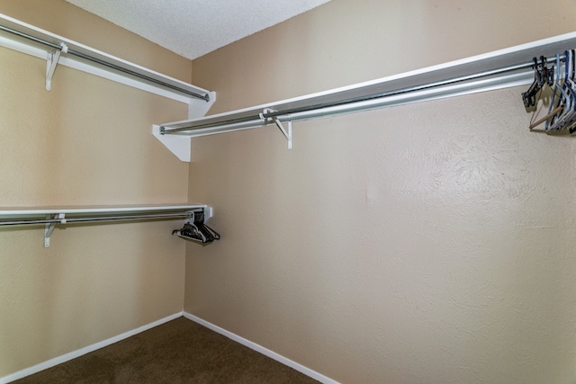 walk in closet with carpet flooring