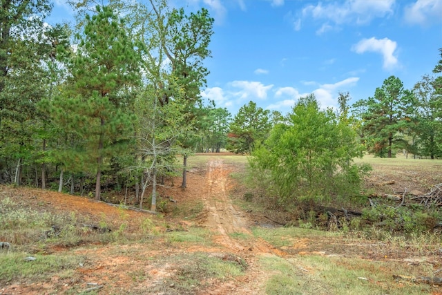 view of local wilderness