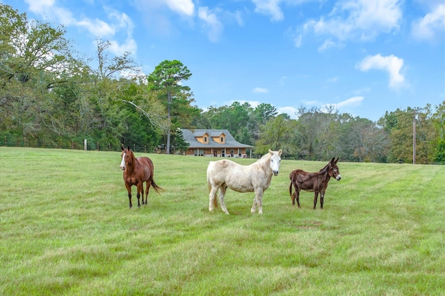 view of home's community with a rural view and a yard