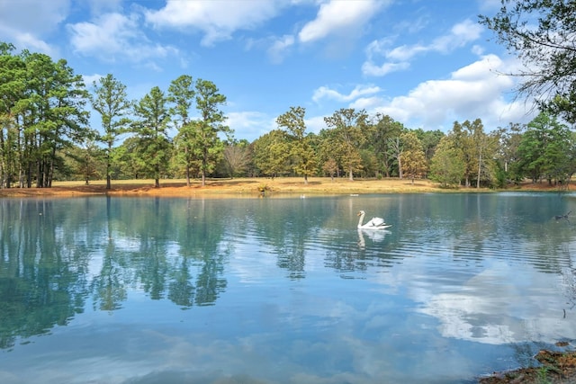 view of water feature